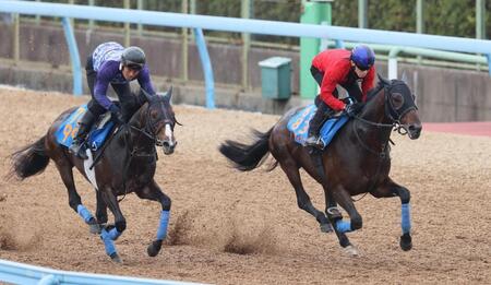 津村を背にウッドチップコースでマイネルケレリウスと併せて追われるカラマティアノス（右）