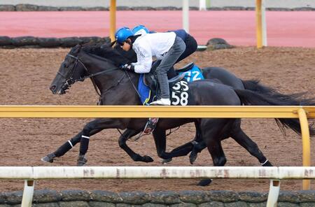 北村友一を背に栗東ＣＷで追い切るベレシート（撮影・石湯恒介）