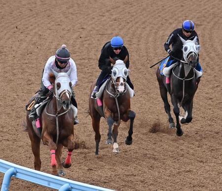 ３頭併せで追い切るロデオドライブ（中央）＝撮影・持木克友