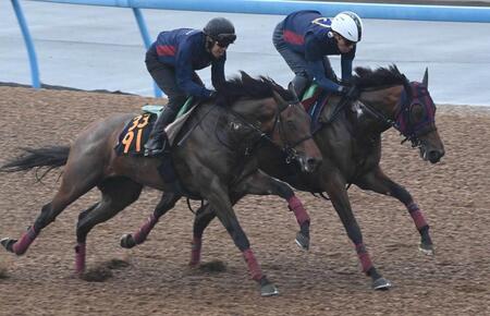 　美浦Ｗ２頭併せで追い切るエンブロイダリー（右）＝美浦トレセン