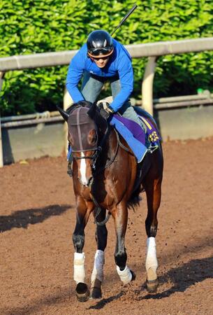　無傷３連勝でＧ１初制覇を目指すアスクイキゴミ