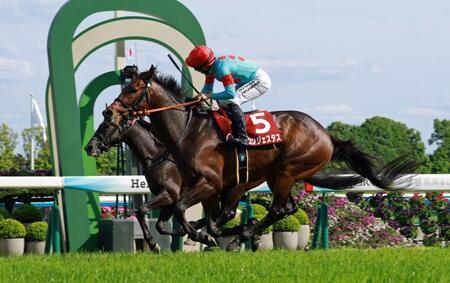 ３連勝で東上切符を手にしたコンジェスタス（撮影・石湯恒介）