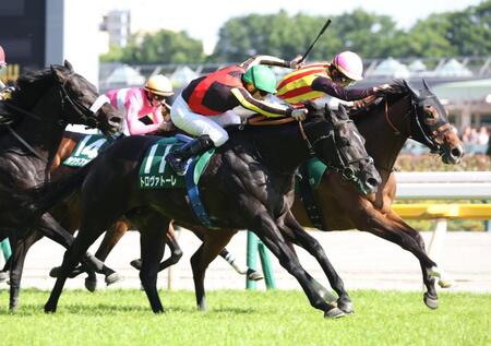 ステレンボッシュを差すトロヴァトーレ（手前）