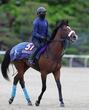 【京都＆東京の危険な人気馬】カヴァレリッツォ　東京11Ｒ・ＮＨＫマイルＣ