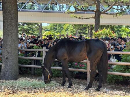 お披露目された２０１０年ダービー馬のエイシンフラッシュ