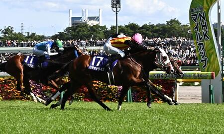 ＮＨＫマイルＣを制したロデオドライブ（１７）＝撮影・持木克友