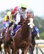 【ヴィクトリアＭ】不惑の津村が再び大仕事狙う　２４年に単勝２００倍超の大穴Ｖ　今年の相棒はニシノティアモ