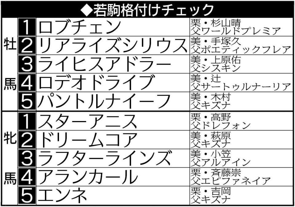 皐月賞馬ロブチェンと桜花賞馬スターアニスが１位にランクイン