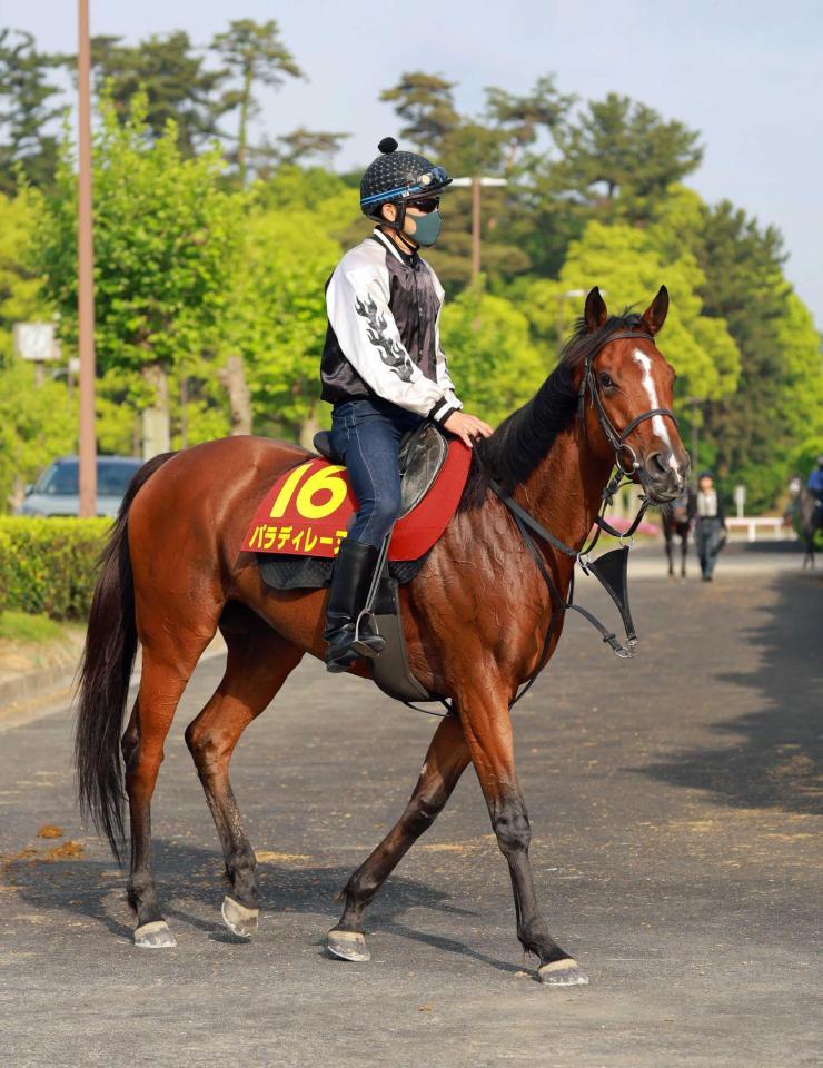 　念願のＧ１初制覇を目指すパラディレーヌ
