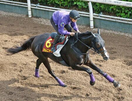 落ち着き十分に栗東坂路を駆け抜けたカムニャック（撮影・中田匡峻）