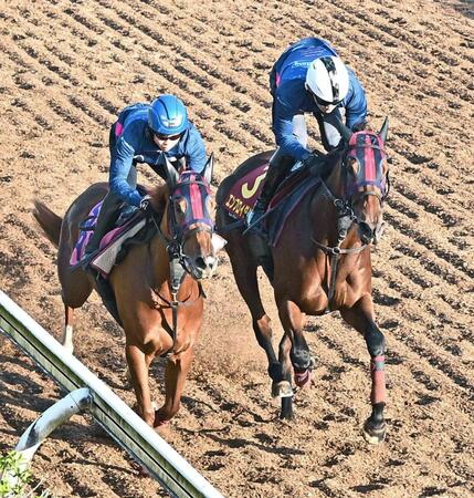 美浦坂路で好仕上がりをアピールしたエンブロイダリー（右）＝撮影・持木克友