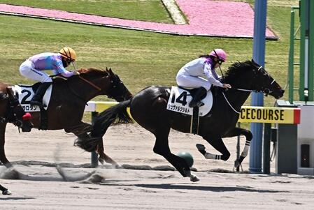 ２Ｒ３歳未勝利を勝ったシュヴァルツシルト（撮影・持木克友）