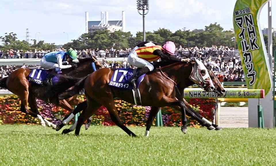 激戦のＮＨＫマイルを制したロデオドライブ