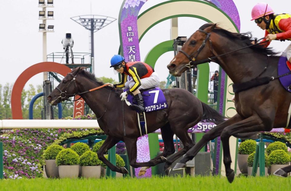 ３日、天皇賞・春を制したクロワデュノール