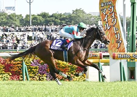 　直線で突き抜けたエンブロイダリー（撮影・持木克友）