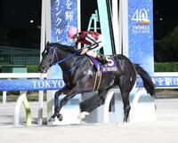デイリー盃大井記念を制したサントノーレと矢野貴之騎手