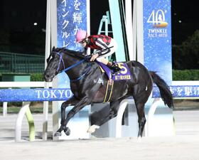 デイリー盃大井記念を制したサントノーレと矢野貴之騎手
