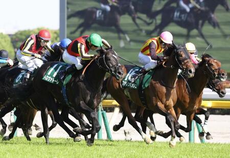 エプソムＣ２着のステレンボッシュ（右から２頭目）＝５月９日
