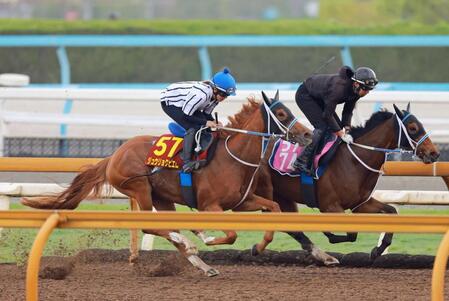 　今村を背に態勢を整えたジュウリョクピエロ（左）＝撮影・石湯恒介