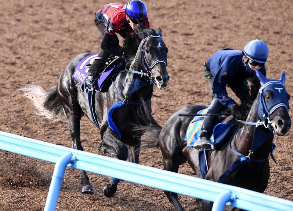 　リベンジへ準備を整える津村とリアライズシリウス（左）＝撮影・園田高夫