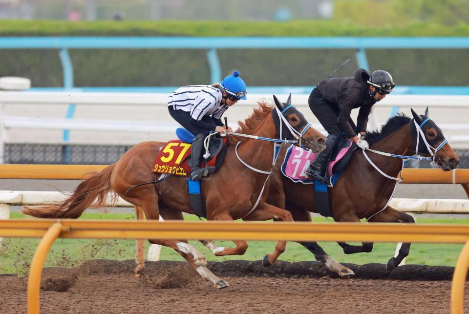 　今村を背に態勢を整えたジュウリョクピエロ（左）＝撮影・石湯恒介
