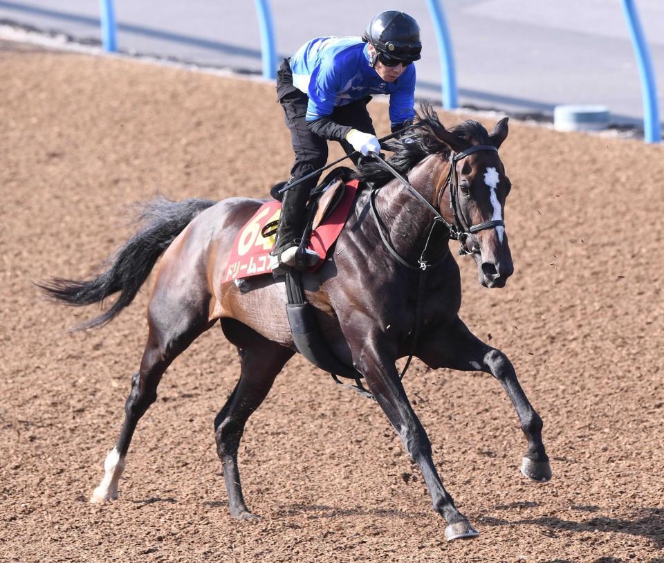 　逆襲の舞台へ向けて態勢を整えたドリームコア
