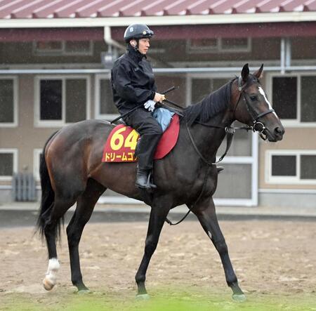 　元気の運動をするドリームコア