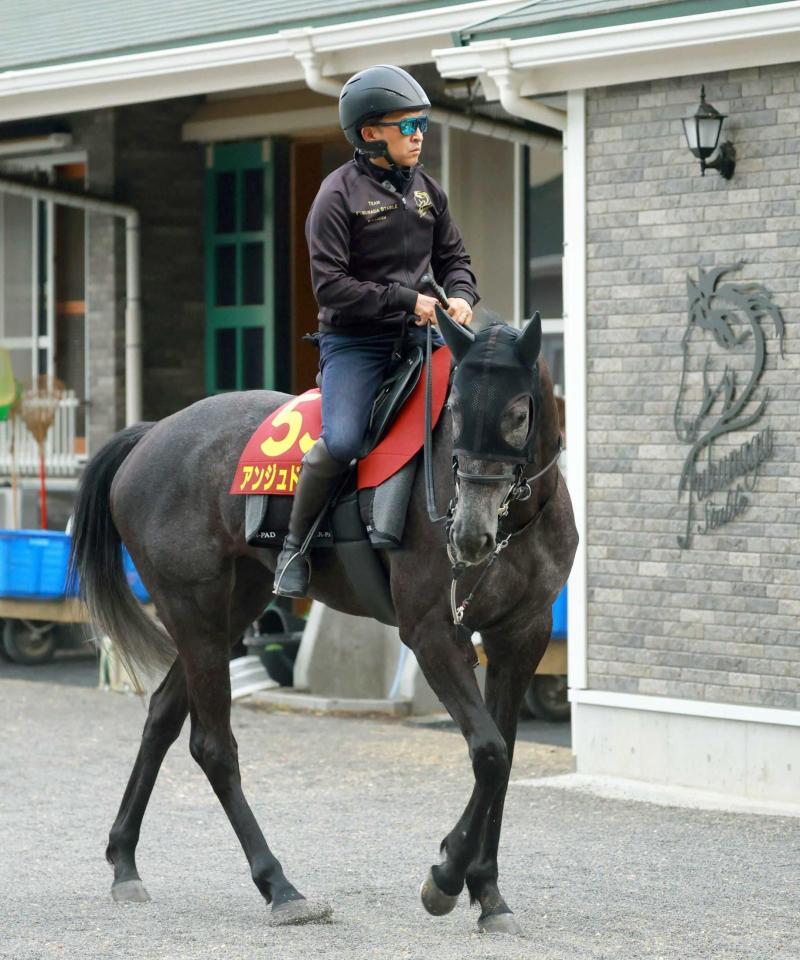 　アンジュドジョワの調教に騎乗する福永祐一師