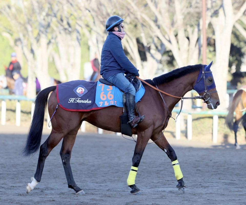 ナルカミ