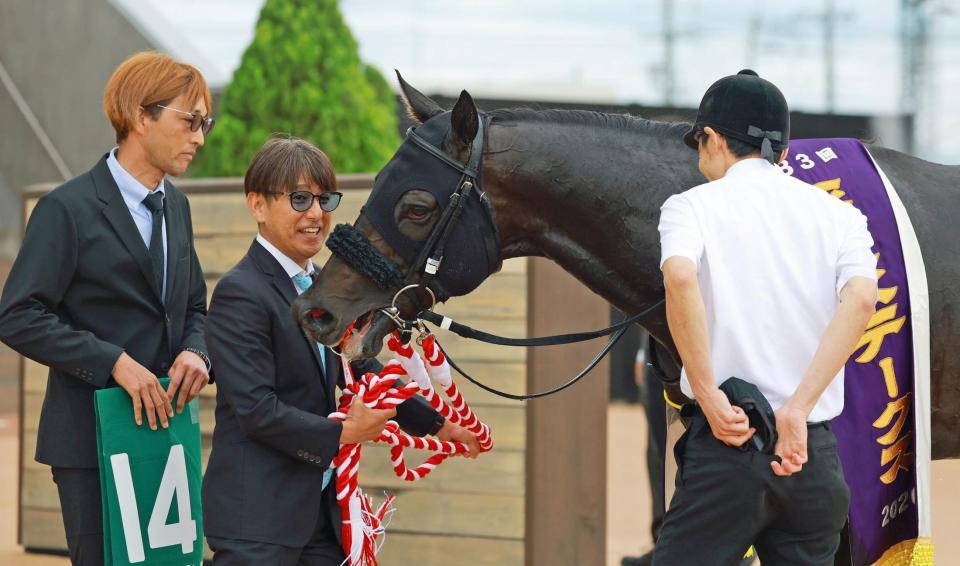 平安Ｓを制したロードクロンヌと四位洋文師（左から２人目）＝撮影・石湯恒介