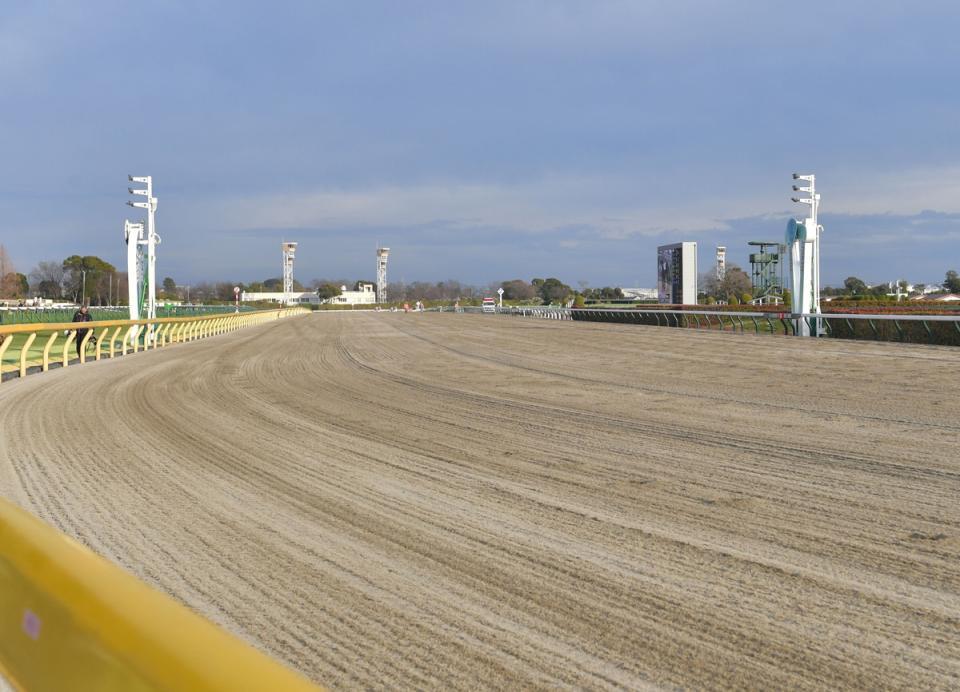 東京競馬場