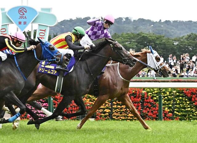 オークス】今村聖奈が日本女性騎手初G1制覇 クラシック初騎乗も堂々