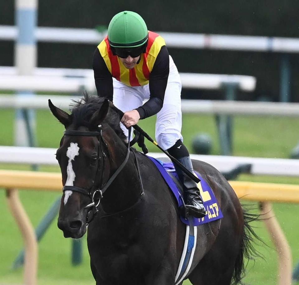 　２着に終わったドリームコアとルメール（撮影・園田高夫）