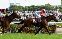 　青葉賞を制して祭典切符を手に入れたゴーイントゥスカイ