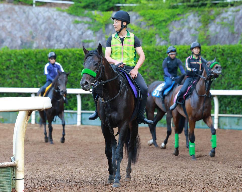 　担当の房野助手を背に運動するロブチェン（撮影・石湯恒介）