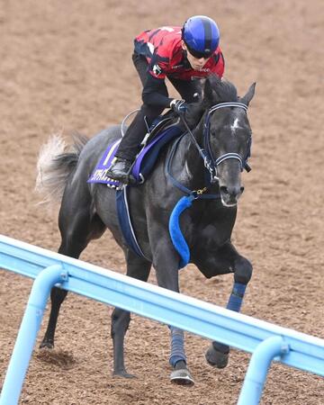 　皐月賞２着からの逆転Ｖへきっちり仕上がったリアライズシリウス（撮影・園田高夫）