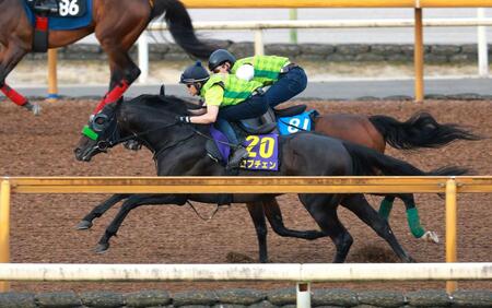 　栗東ＣＷで鋭い脚さばきを披露したロブチェン（撮影・石湯恒介）