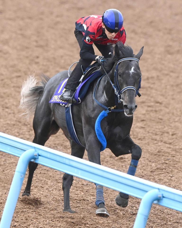 　皐月賞２着からの逆転Ｖへきっちり仕上がったリアライズシリウス（撮影・園田高夫）