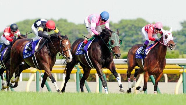 GⅠ3勝のストレイトガール死去 腸捻転で 藤原師「厩舎の功労馬だし