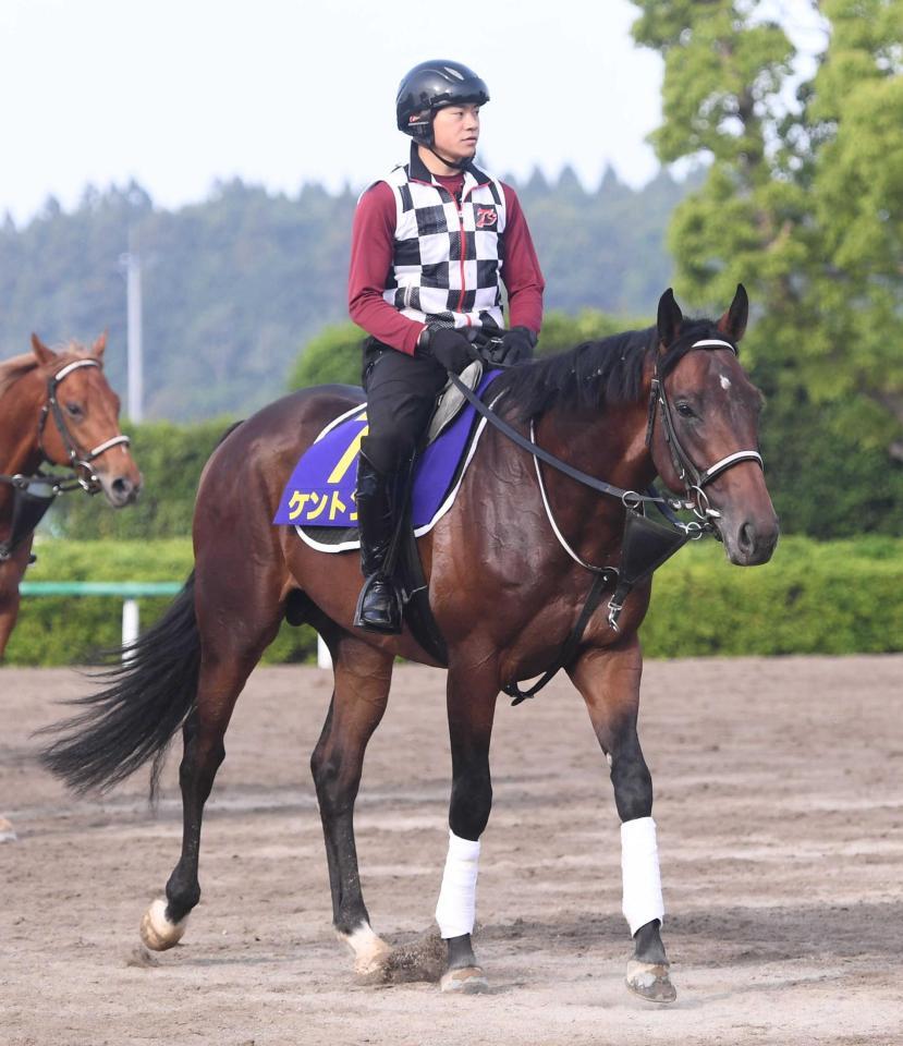 　抽選を突破したケントンが競馬の祭典に挑む
