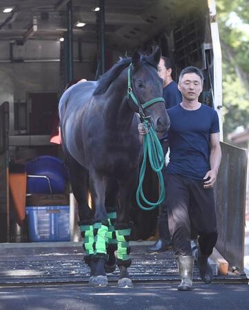 元気に東京競馬場に到着したロブチェン（撮影・園田高夫）