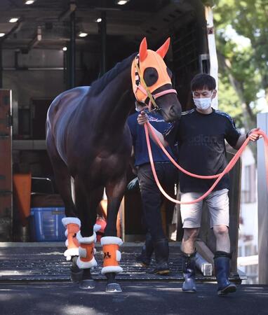 元気に到着したコンジェスタス（撮影・園田高夫）