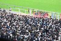 日本ダービーのジョッキー紹介を注目するスタンドのファン（撮影・園田高夫）