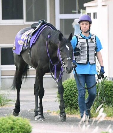 　重賞を連勝し、勢いに乗るトロヴァトーレ