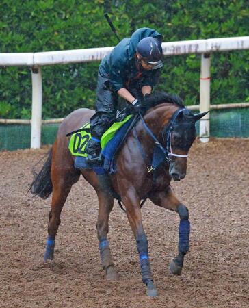 　牝馬の王道路線を目指すジーティーサクラ