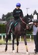 【新馬戦】ジョドレルバンク　開幕週から大物候補の登場だ　父はエフフォーリア　期待の良血馬に武井師がべた褒め「負ける要素ない」