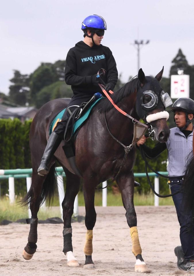 　新種牡馬エフフォーリア産駒の期待馬ジョドレルバンク（撮影・園田高夫）