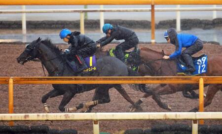　雨にも負けず力強い動きを披露したクロワデュノール（左）＝撮影・石湯恒介