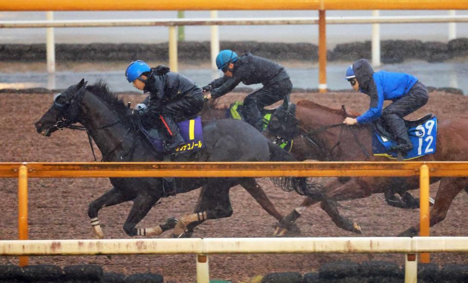 　雨にも負けず力強い動きを披露したクロワデュノール（左）＝撮影・石湯恒介