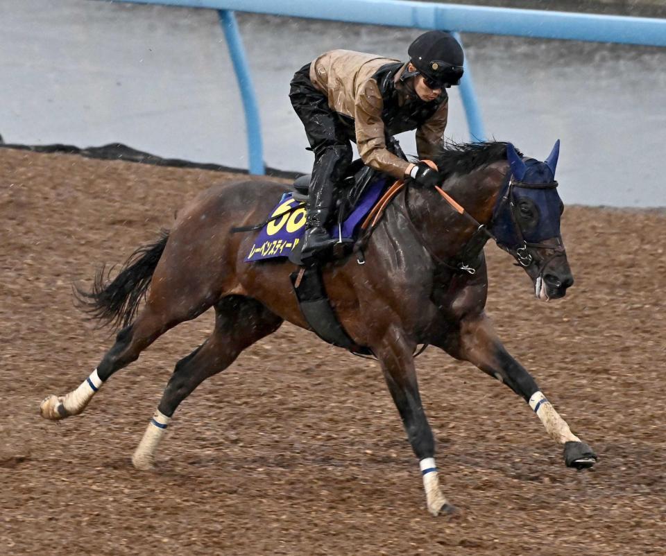 　気持ち良さそうに美浦Ｗを駆けたレーベンスティール
